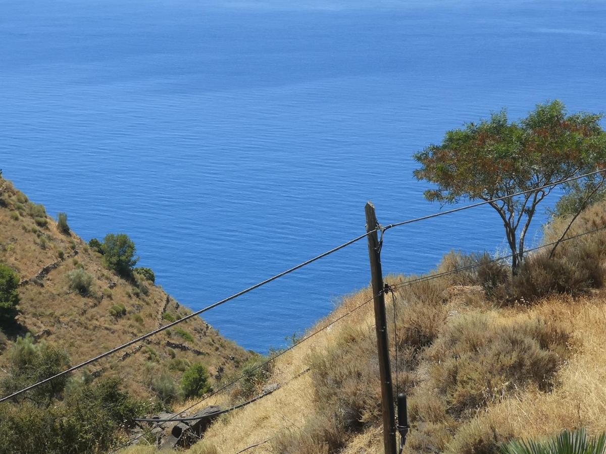 House In A Cove Almuñécar Εξωτερικό φωτογραφία